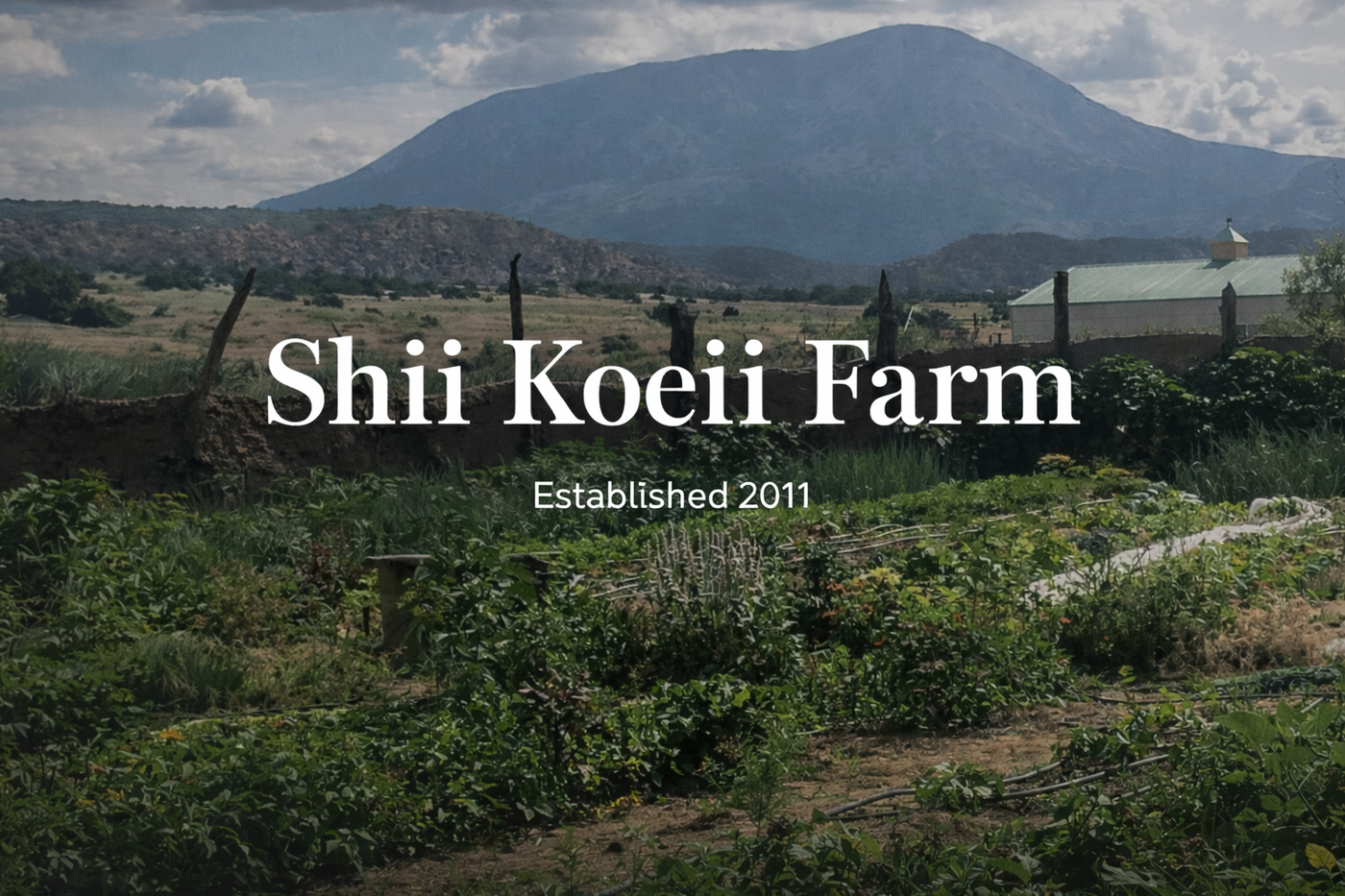 Shii Koeii Farm